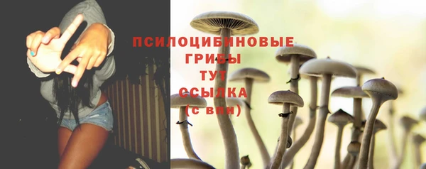 тгк Липки