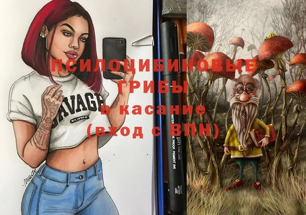 тгк Липки