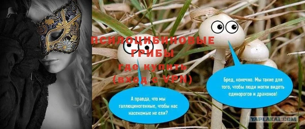 а пвп мука Инсар