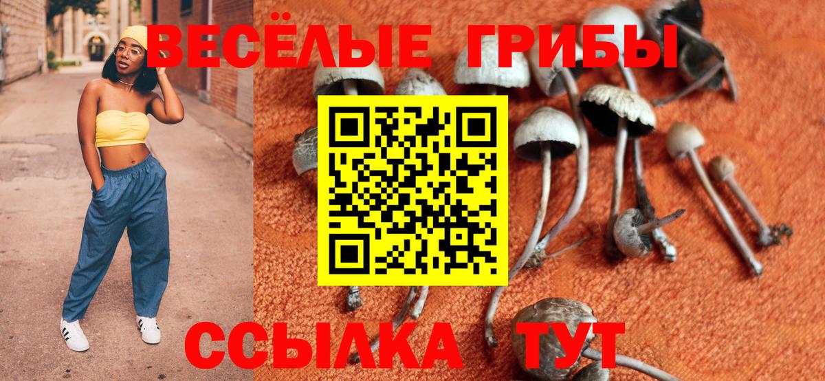Галлюциногенные грибы Magic Shrooms Свободный