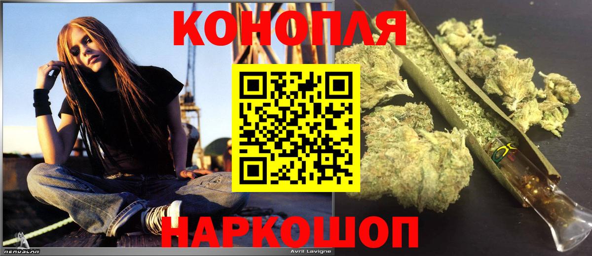 МАРИХУАНА сатива Свободный